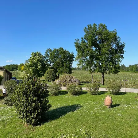 Pais - Relax In Jacuzzi Tra I Vigneti Lejlighed