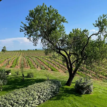 Pais - Relax In Jacuzzi Tra I Vigneti Apartamento *