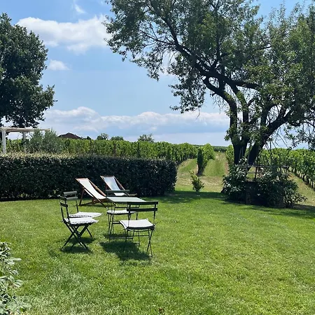 Pais - Relax In Jacuzzi Tra I Vigneti Apartment *